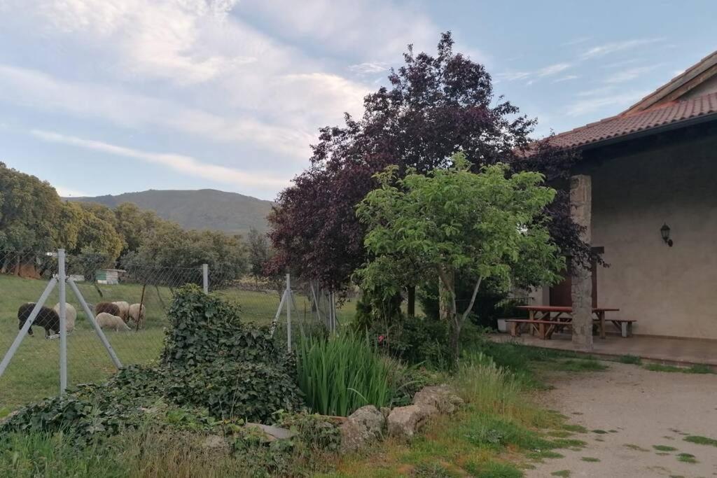 Casa Namaste - Ortigosa Del Monte Villa Buitenkant foto